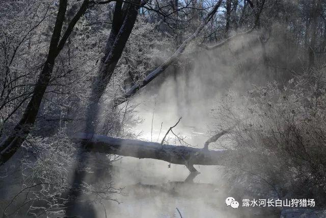 投影向量的公式？游戏画面